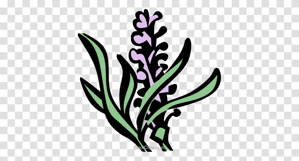 Lavender Royalty Free Vector Clip Art Illustration, Plant, Flower, Blossom Transparent Png
