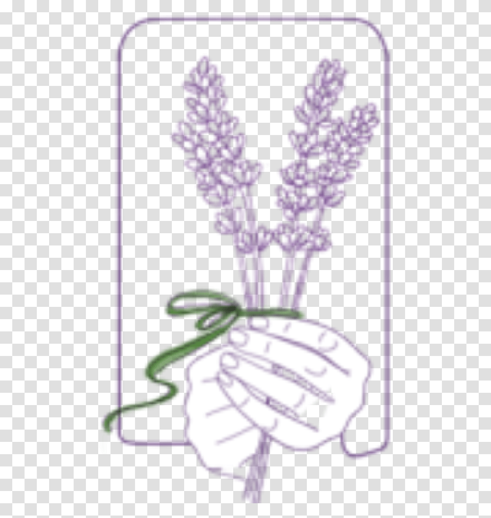 Lavender Sprigs Illustration, Plant, Soccer Ball, Football, Team Sport Transparent Png