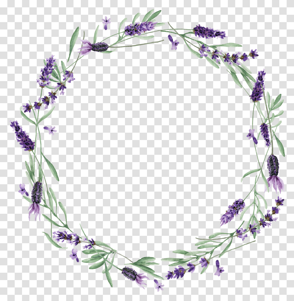 Lavender Vector No Background, Plant, Flower, Blossom, Floral Design Transparent Png