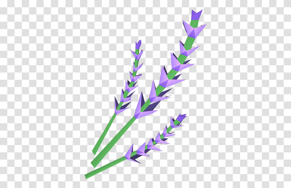 Lavender Vertical, Grass, Plant, Purple, Lawn Transparent Png