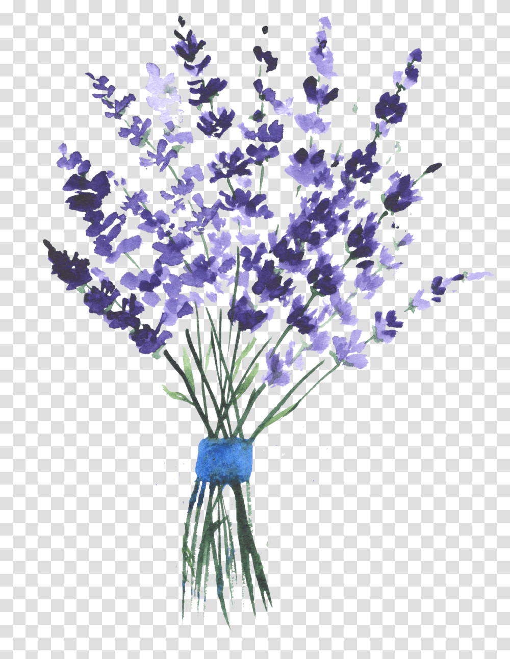 Lavender Watercolor Purple Flowers Watercolour Lavender, Plant, Blossom, Flower Arrangement, Flower Bouquet Transparent Png