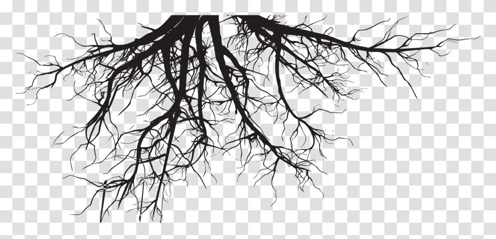 Lawn Care Aeration Irrigation Tree Roots, Plant, Outdoors, Nature, Night Transparent Png