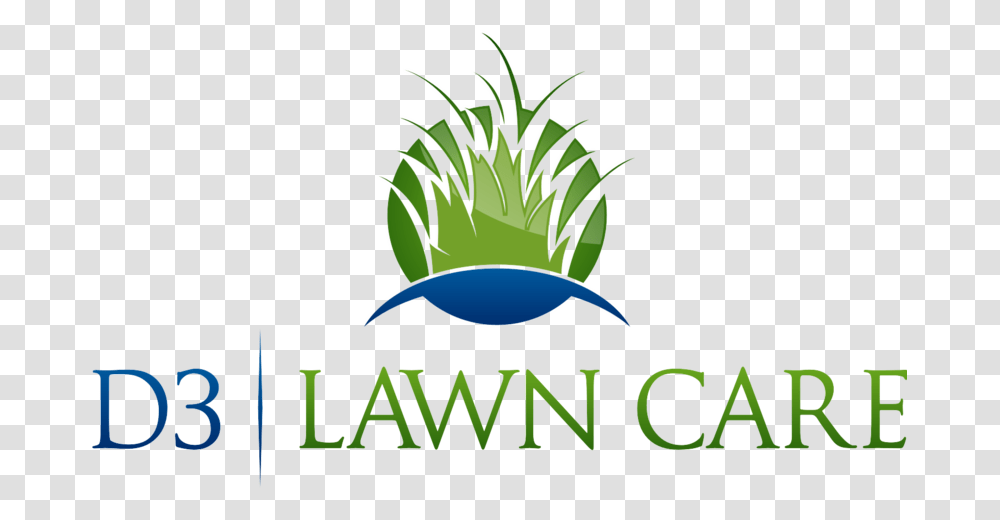 Lawn Care, Plant, Vegetation, Grass Transparent Png