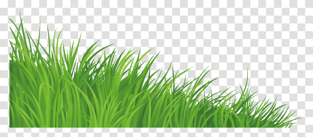 Lawn Clip Art Grass Background Clipart, Plant Transparent Png