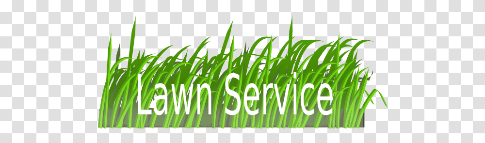 Lawn Clip Art, Grass, Plant, Word, Vegetation Transparent Png