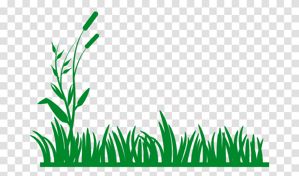 Lawn Clipart Field, Green, Plant, Flower Transparent Png