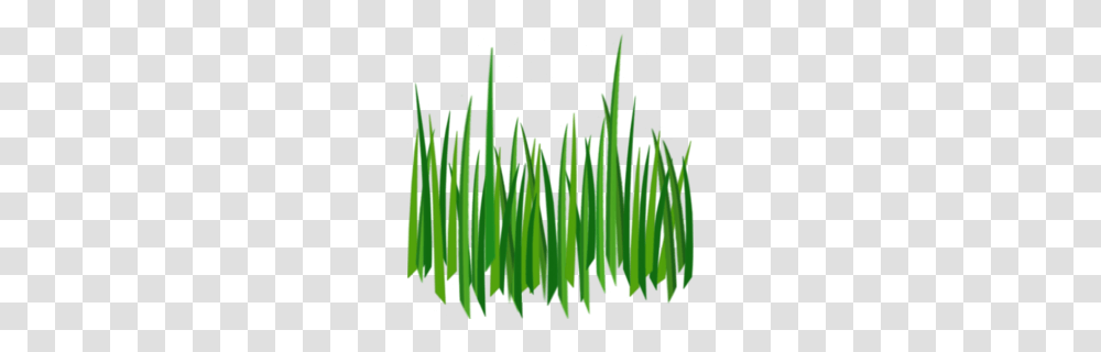 Lawn Clipart, Grass, Plant, Leaf, Green Transparent Png