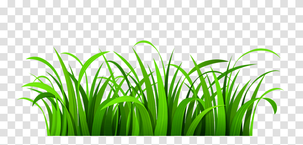 Lawn Clipart, Green, Grass, Plant, Spring Transparent Png