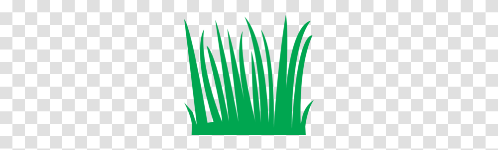 Lawn Clipart, Plant, Grass, Apparel Transparent Png