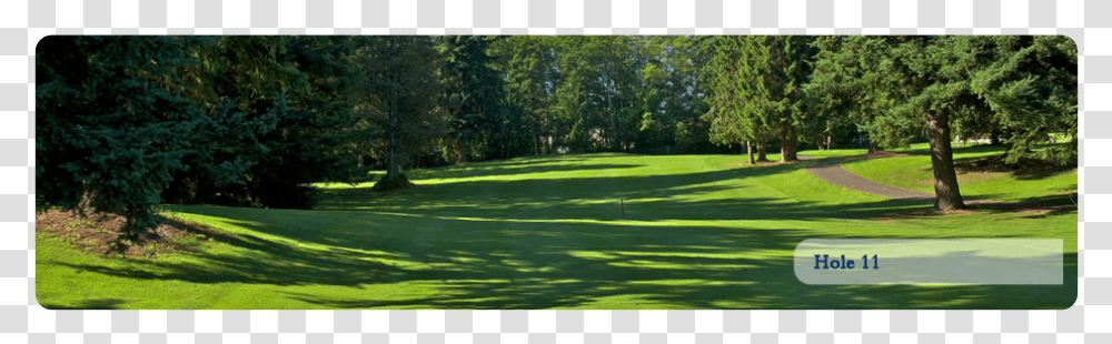 Lawn, Field, Outdoors, Golf Course, Grass Transparent Png