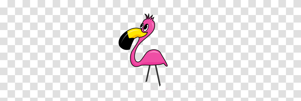 Lawn Flamingo Clipart Free Clipart, Beak, Bird, Animal, Dodo Transparent Png
