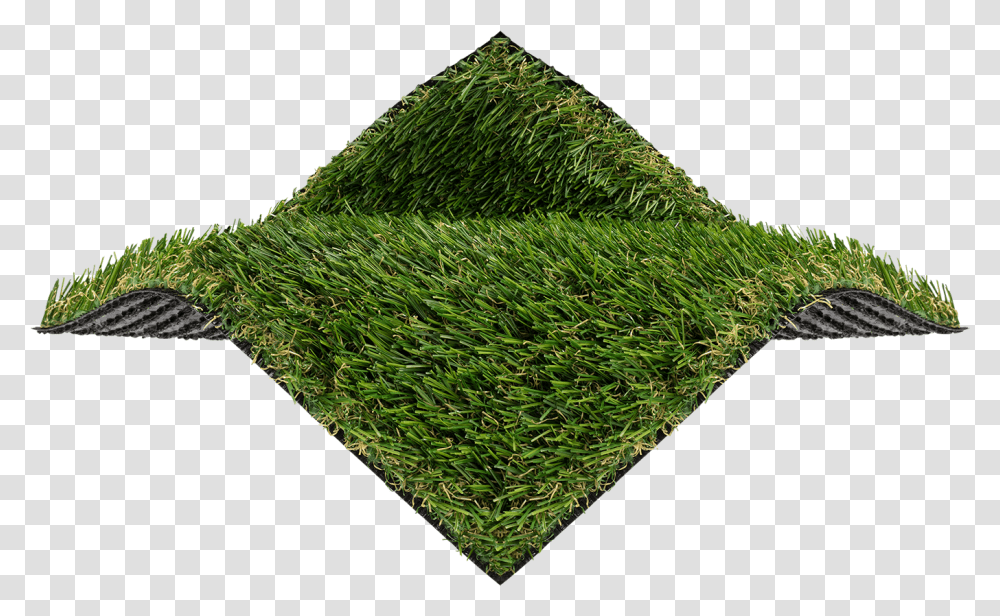 Lawn, Grass, Plant, Moss Transparent Png