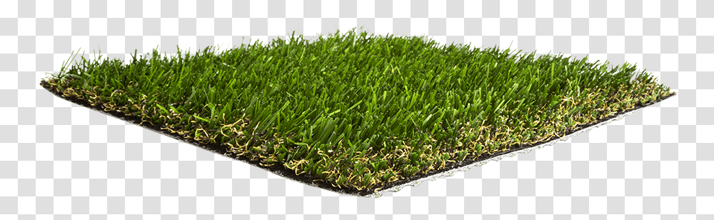 Lawn, Grass, Plant, Vegetation, Moss Transparent Png