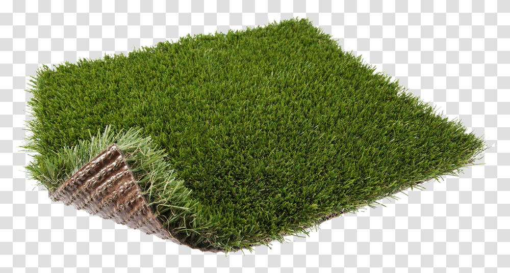Lawn, Moss, Plant, Bush, Vegetation Transparent Png