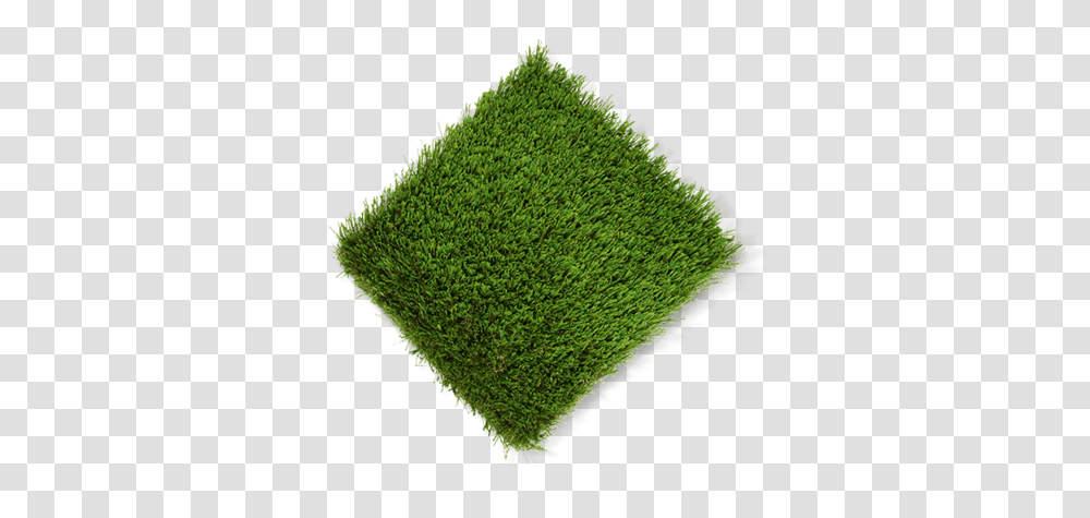 Lawn, Moss, Plant, Green, Grass Transparent Png