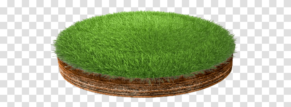 Lawn, Moss, Plant, Tennis Ball, Sport Transparent Png