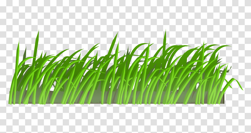 Lawn Mowers Animation Clip Art, Grass, Plant, Green Transparent Png