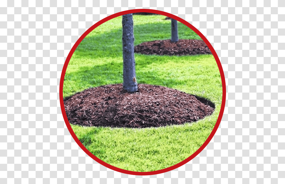 Lawn Mulching Pros Outback Service Get A Free Mulch Around Trees, Grass, Plant, Rug, Park Transparent Png