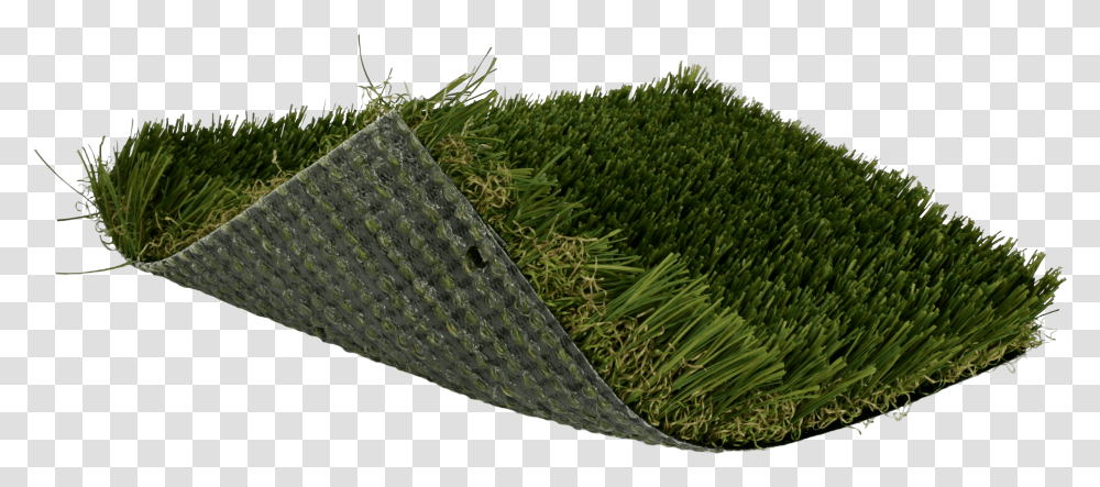 Lawn, Plant, Slate, Animal, Moss Transparent Png