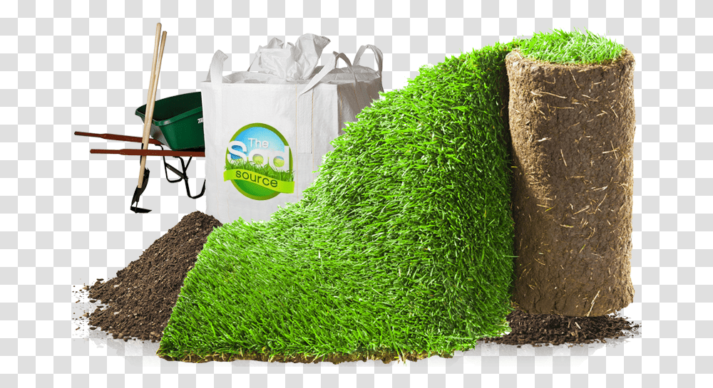 Lawn, Plant, Soil, Grass, Wall Transparent Png