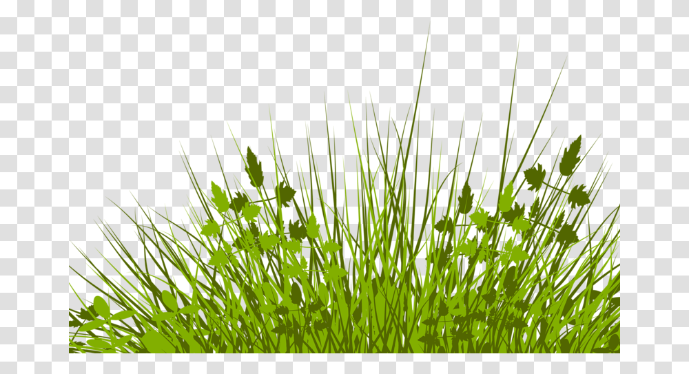 Lawn Royalty Free Stock Photography Illustration Klipart Trava, Grass, Plant, Vegetation, Agropyron Transparent Png