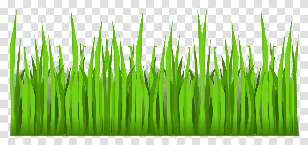 Lawn Vector Art Cartoon Grass, Green, Plant, Leaf Transparent Png