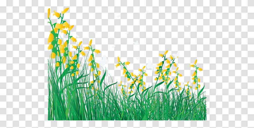 Lawn Vector Grass Flower Cartoon Flowers And Grass, Plant, Blossom, Daffodil, Iris Transparent Png