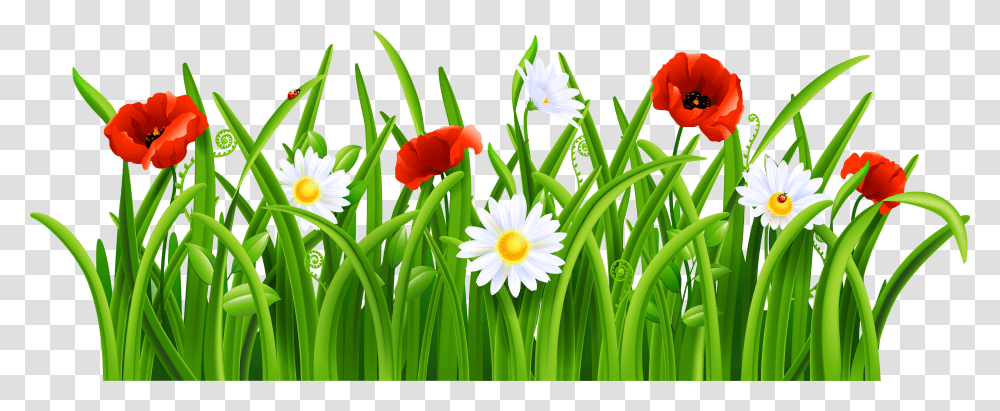 Lawn Vector Patch Grass Grass And Flower Transparent Png