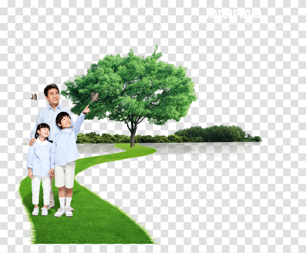 Lawn Vector Tree Grass Transparent Png