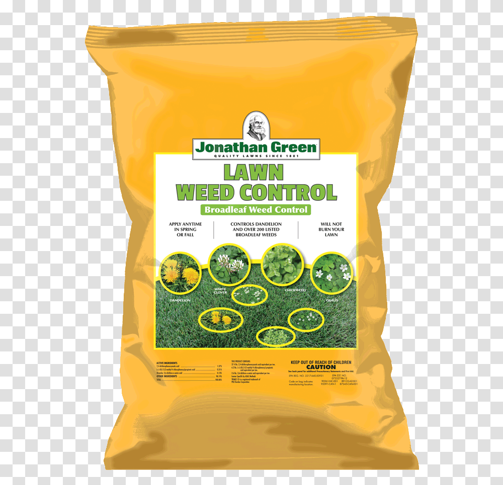 Lawn Weed Control Green Fungus On Lawn, Plant, Vase, Jar, Pottery Transparent Png
