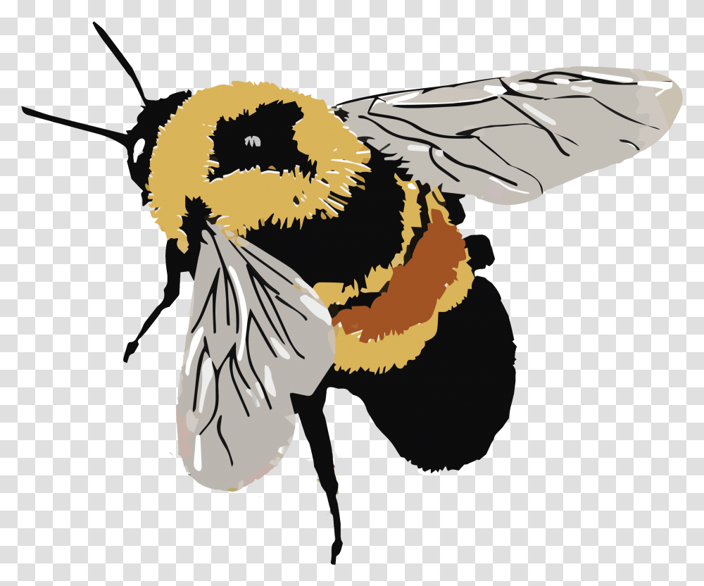 Lawns To Legumes, Apidae, Bee, Insect, Invertebrate Transparent Png