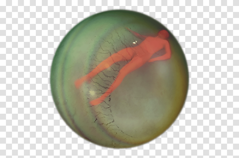 Layer 3 Min, Sphere, Dish, Meal, Food Transparent Png
