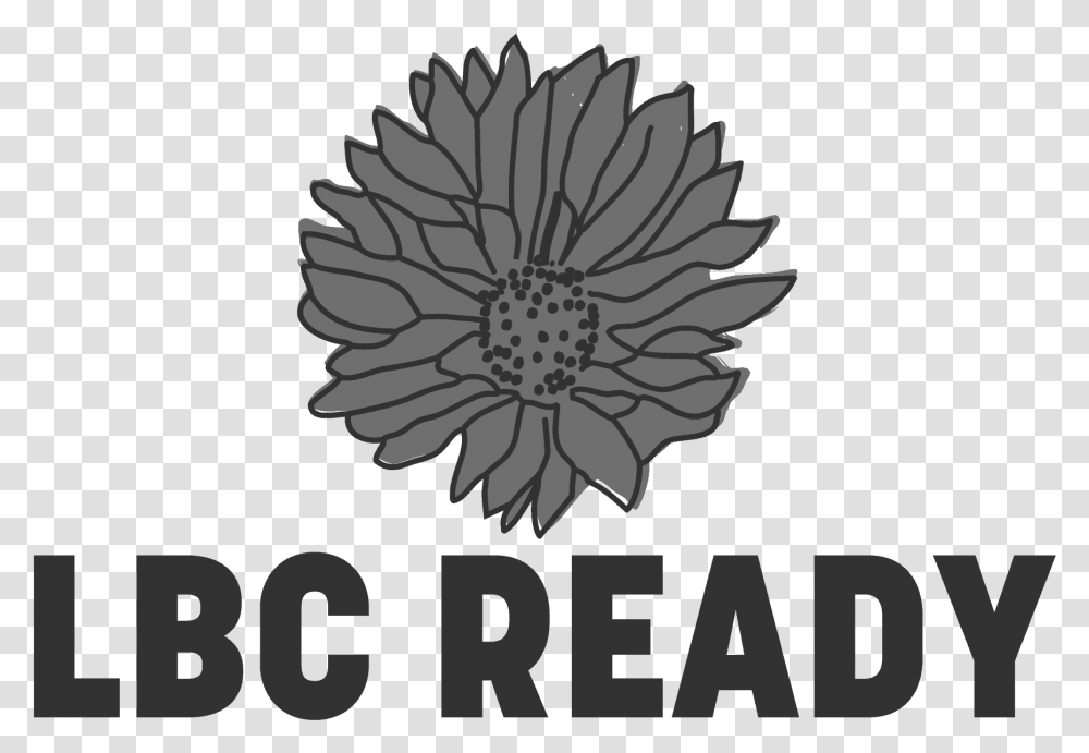 Lbc Compliant Top Icon Field Ready, Flower, Plant, Blossom, Daisy Transparent Png