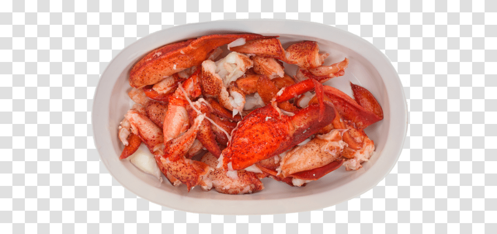 Lbs Lobster Meat, Seafood, Sea Life, Animal, Pork Transparent Png