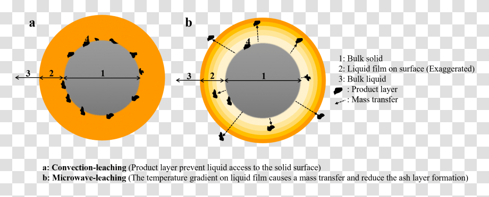 Leaching Mass Transfer Diagram, Number, Clock Tower Transparent Png
