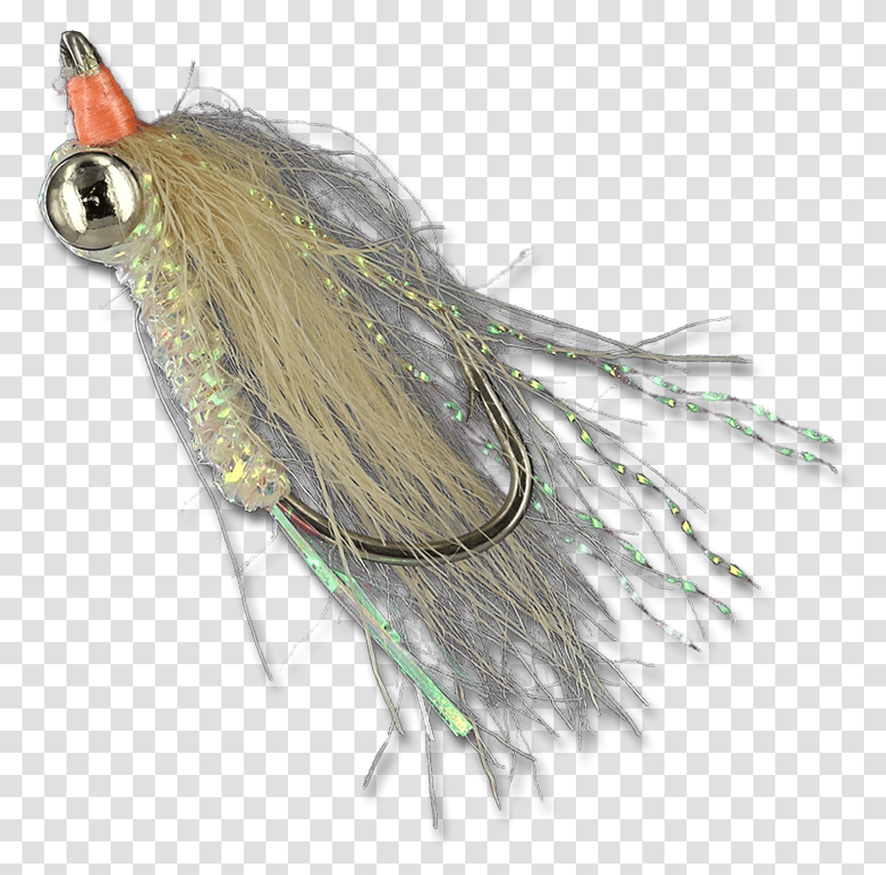 Lead Eyes Insect, Fishing Lure, Bait, Bow, Animal Transparent Png