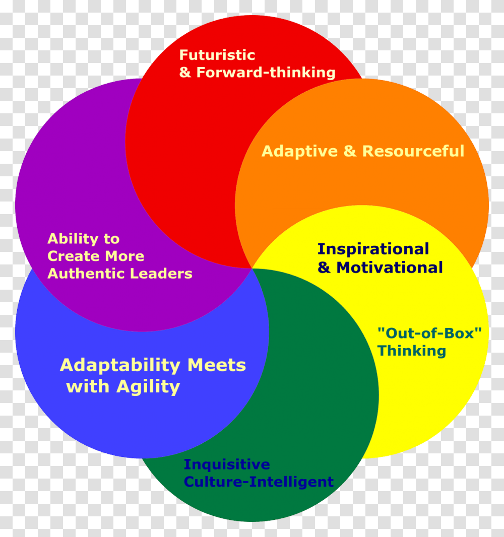 Leadership Qualities Of Innovative Leaders, Diagram, Plot, Sphere Transparent Png