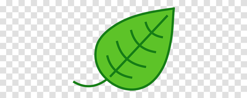 Leaf Nature, Plant, Food, Vegetable Transparent Png