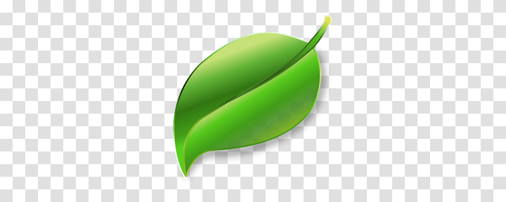 Leaf Nature, Plant, Food, Green Transparent Png