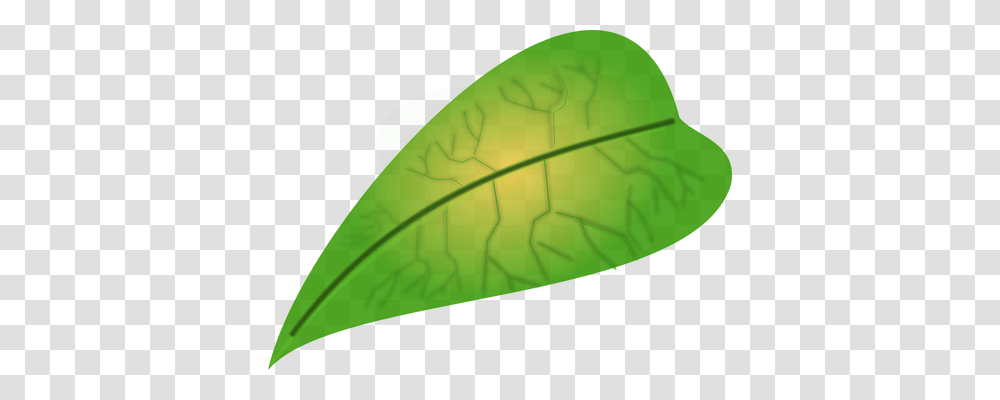 Leaf Technology, Plant, Tennis Ball, Sport Transparent Png