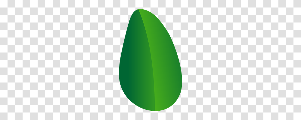 Leaf Nature, Green, Plant, Balloon Transparent Png