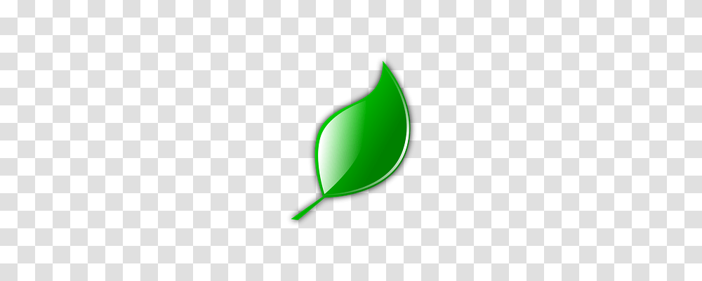 Leaf Nature, Green, Plant, Balloon Transparent Png