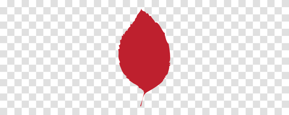 Leaf Oval, Maroon, Armor Transparent Png