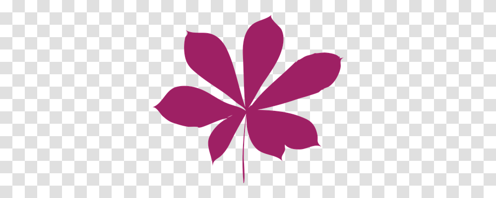 Leaf Purple, Petal, Flower, Plant Transparent Png