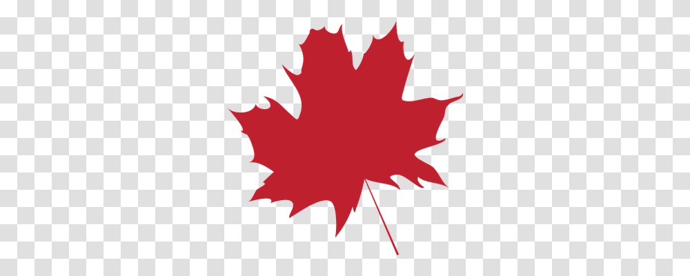 Leaf Plant, Tree, Maple Leaf, Person Transparent Png