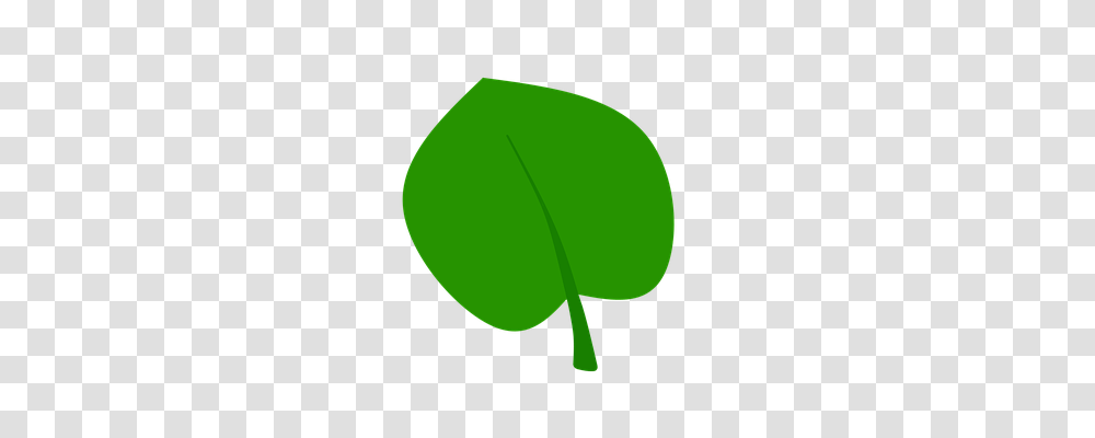 Leaf Nature, Tennis Ball, Green, Plant Transparent Png