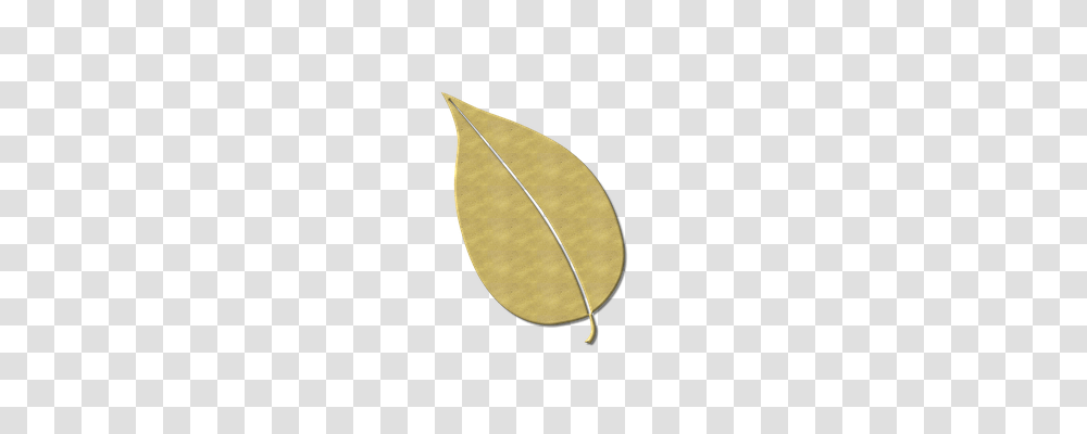 Leaf Nature, Lamp, Gold, Accessories Transparent Png