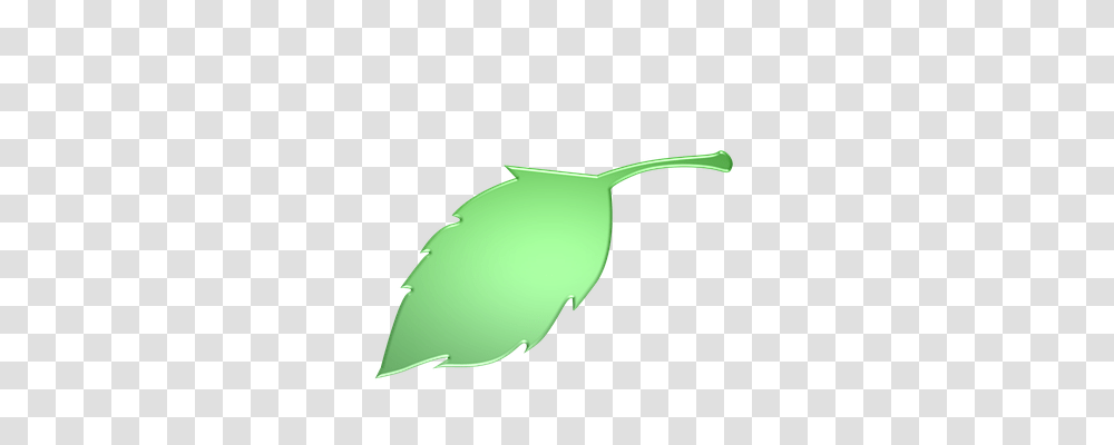 Leaf Nature, Sunglasses, Animal, Bird Transparent Png