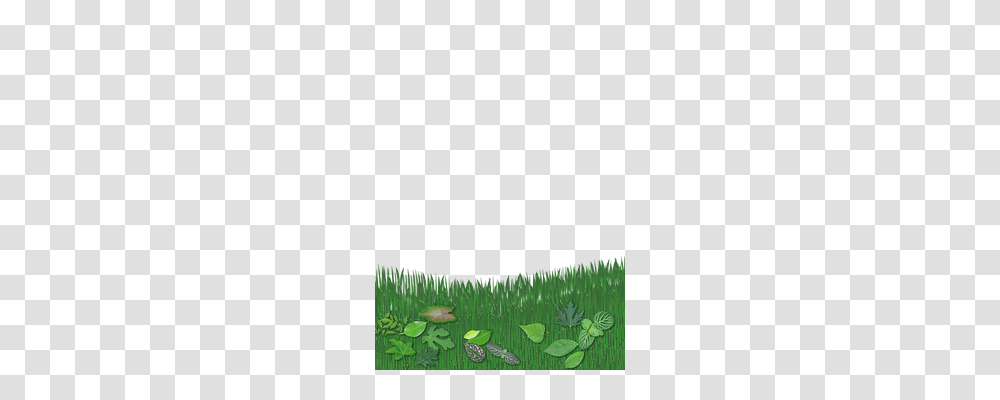 Leaf Nature, Grass, Plant, Animal Transparent Png