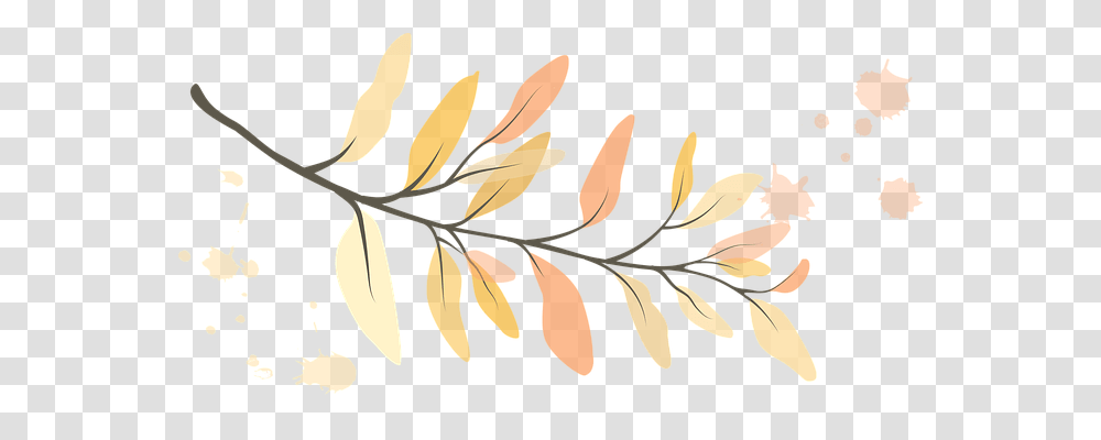 Leaf Nature, Plant, Potted Plant, Vase Transparent Png